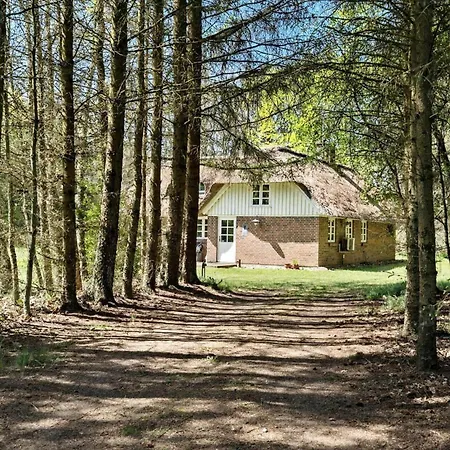 בית נופש 10158-ulfborg-graemvej-35 Husby